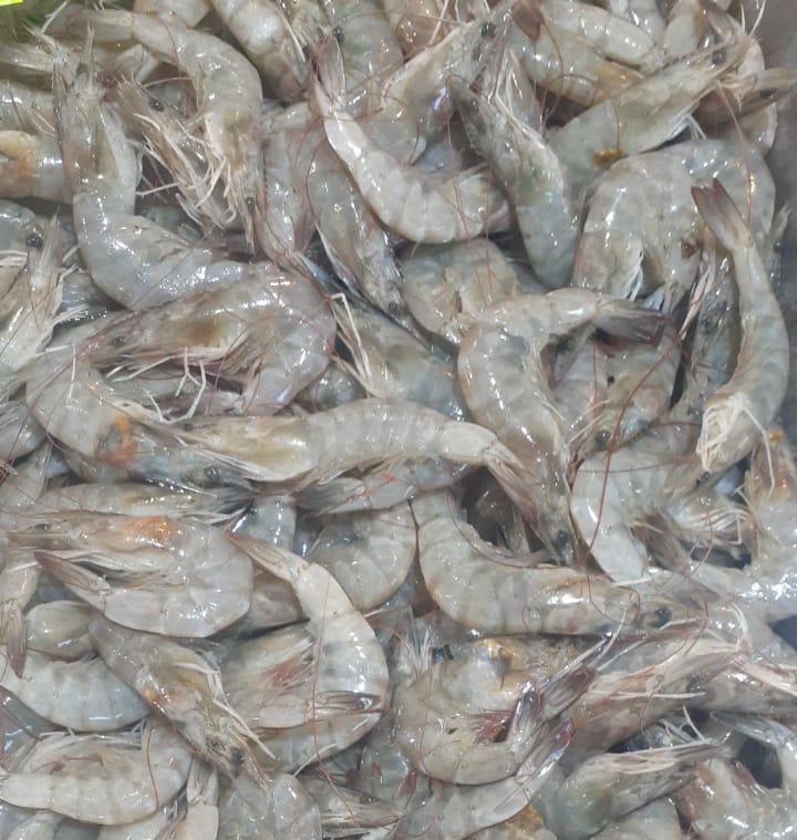 camarón chico de Sinaloa por kilo en Zapopan
